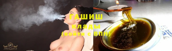 сатива Новокубанск