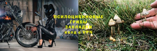 не бодяженный Нягань