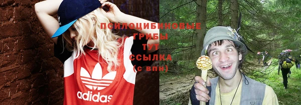 амфетамин Няндома