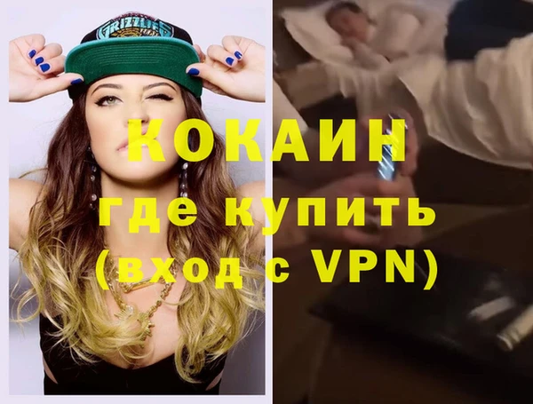 сатива Новокубанск