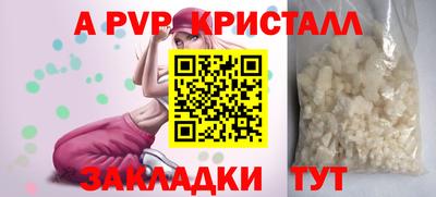 Альфа ПВП Будённовск