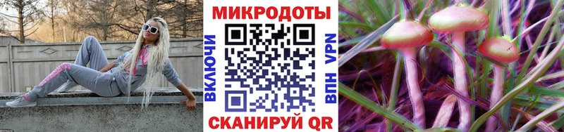 купить закладку  Нижнеудинск  Псилоцибиновые грибы прущие грибы 