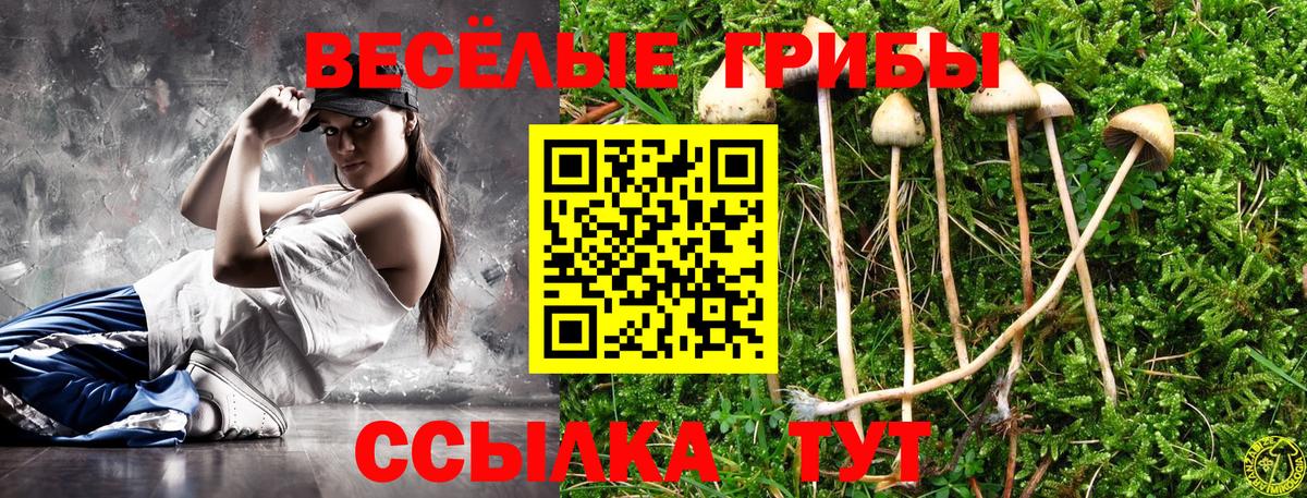 Псилоцибиновые грибы мицелий  Вход с VPN  Нижнеудинск  Псилоцибиновые грибы прущие грибы 